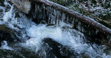 cascata di un' fiume con avvicinamento di il ghiaccioli allegato per un' ramo sopra il fluente acqua, nel inverno video