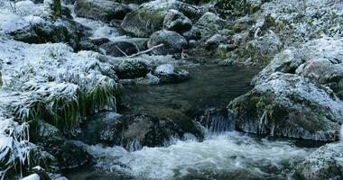 lento fluxo do uma pequeno rio cascata dentro a Nevado floresta dentro inverno video