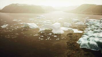 uma hipnotizante exibição do icebergs flutuando em uma sereno corpo do água video