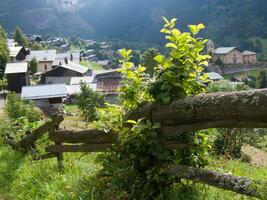 a wooden fence photo