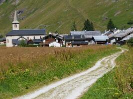 a dirt road in the middle of a field photo