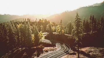 une serein forêt route à le coucher du soleil video