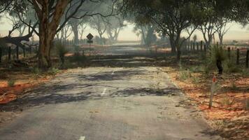 un escénico suciedad la carretera con arboles y un la carretera firmar video