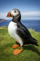 AI generated Puffin bird on a green grass patch. AI Generated photo