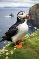 AI generated Puffin bird on a green grass patch. AI Generated photo