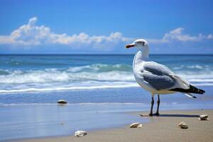 ai generado Gaviota en el playa debajo azul cielo. foto