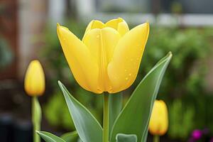 ai generado amarillo tulipán en el jardín. ai generado foto