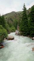 mountain gorge river at summer day, slow motion, vertical video. video