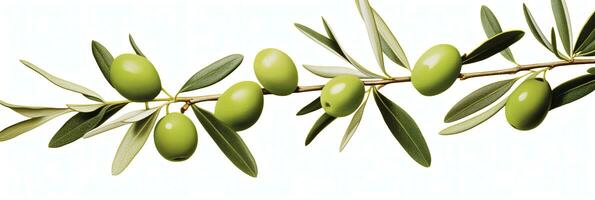 AI generated Olive tree branch, green olives and leaves on white background. AI Generated. photo