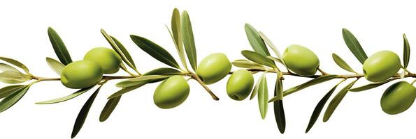 AI generated Olive tree branch, green olives and leaves on white background. AI Generated. photo