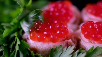 Salmon Red caviar white background. Luxury delicacy food. Raw seafood. Macro fish caviar. video