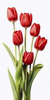 AI generated Red tulips isolated on white background. AI Generated photo