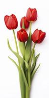 AI generated Red tulips isolated on white background. AI Generated photo