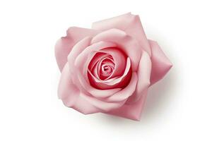 AI generated Pink rose isolated on white background. AI Generated photo