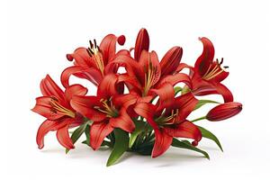 AI generated Red Lilies isolated on white background. AI Generated photo