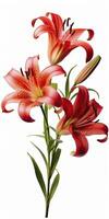 AI generated Red Lilies isolated on white background. AI Generated photo