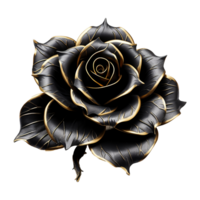 ai generado negro Rosa flor 3d hacer aislado en transparente antecedentes png