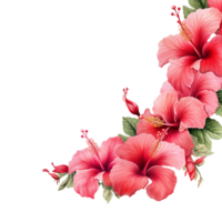 AI generated Red hibiscus flower isolated on transparent background png