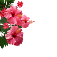 ai generiert rot Hibiskus Blume isoliert auf transparent Hintergrund png