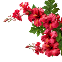 ai genererad röd hibiskus blomma isolerat på transparent bakgrund png