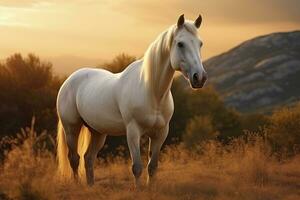 ai generado blanco caballo o yegua en el montañas a puesta de sol. ai generado foto