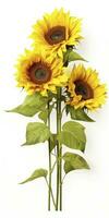 AI generated Sunflowers isolated on white background. AI Generated photo