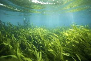 AI generated Underwater view of a group of seabed with green seagrass. AI Generated photo