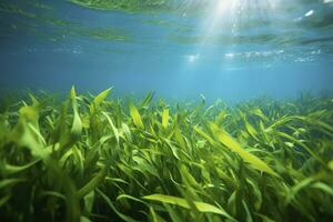 ai generado submarino ver de un grupo de fondo del mar con verde pastos marinos. ai generado foto