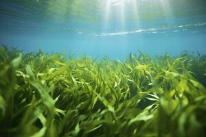 AI generated Underwater view of a group of seabed with green seagrass. AI Generated photo