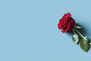 AI generated Red rose flower on blue background. Romantic Valentine's holiday concept. AI Generated photo