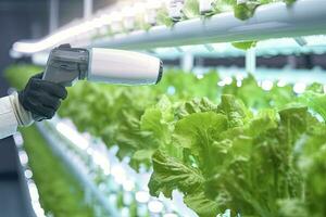 AI generated Automatic Agricultural Technology With Close-up View Of Robotic Arm Harvesting Lettuce In Vertical Hydroponic Plant. AI Generated photo