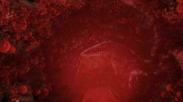 vodu Horror com vermelho tentáculos video
