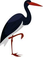 Black stork, illustration, vector on white background