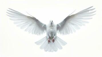 AI generated White Pigeon Isolated on the Minimalist Background. Peace, Divine, Love, Fertility Concept photo