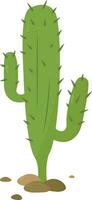 grande verde cactus, ilustración, vector en blanco antecedentes