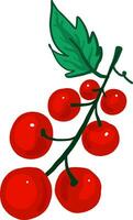 Red berry on a branch, illustration, vector on white background