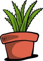 Aloe vera in a pot, illustration, vector on white background