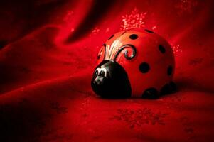 ladybug on a red background photo