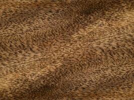 Brown wood background. photo