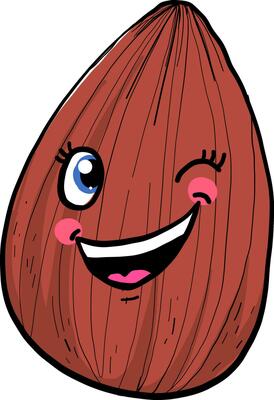 Winking almond, illustration, vector on white background