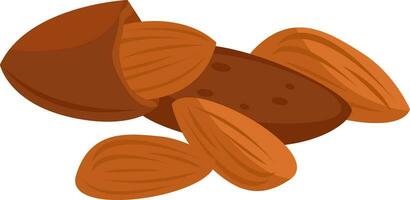 Sweet almonds, illustration, vector on white background