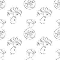 Seamless pattern, line art, fly mushroom, potion occultism magic vector