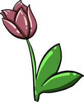 Pink tulip, illustration, vector on white background