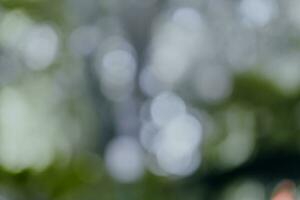 Abstract blurred green color for background. Blurred and defocused effect spring concept for design. Nature view of blurred greenery background in garden. Fresh wallpaper concept. photo