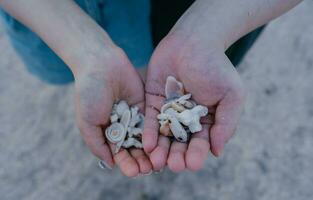 Male and female palms holding shell fragments and rocks on a blurred background. photo