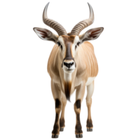 AI generated Eland on transparent background created with generative AI technology png