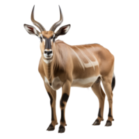 AI generated Eland on transparent background created with generative AI technology png