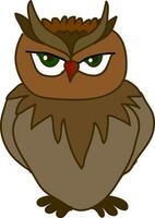 An angry looking owl vector or color illustration