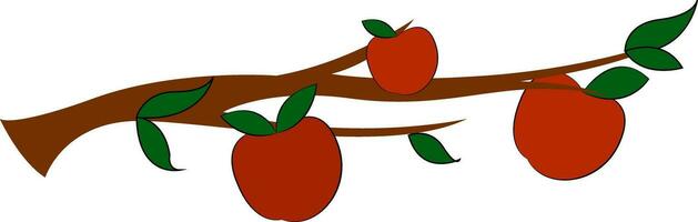 Branch with apples, illustration, vector on white background.