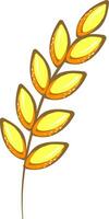 Yellow wheat, illustration, vector on white background.